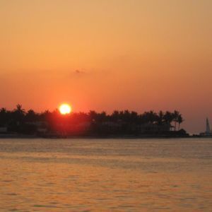 Meet your Posher, Lois